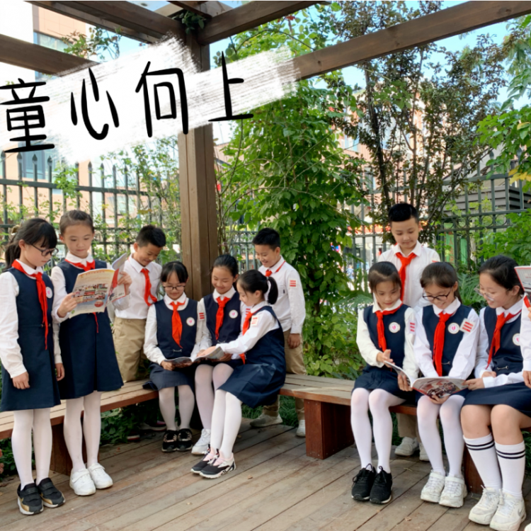 入学贴士|一年级小新星集合啦！