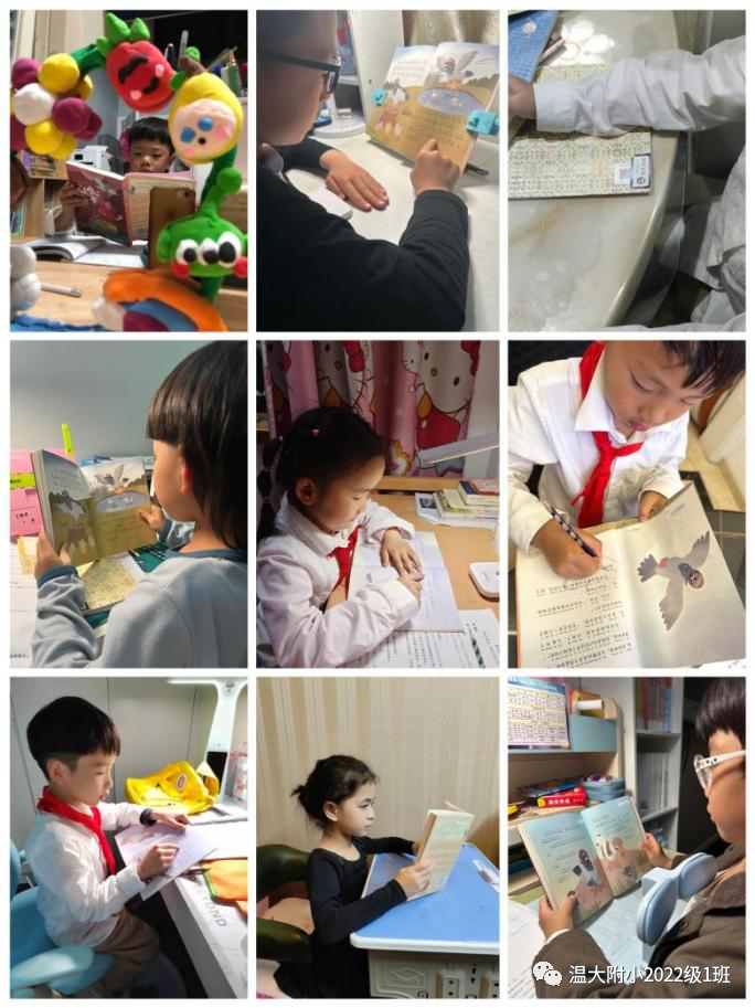 童心阅读,快乐成长,争当“悦读智慧兔”——记温大附小一年级阅读节活动 童心阅读,快乐成长,争当“悦读智慧兔”——记温大附小一年级阅读节活动